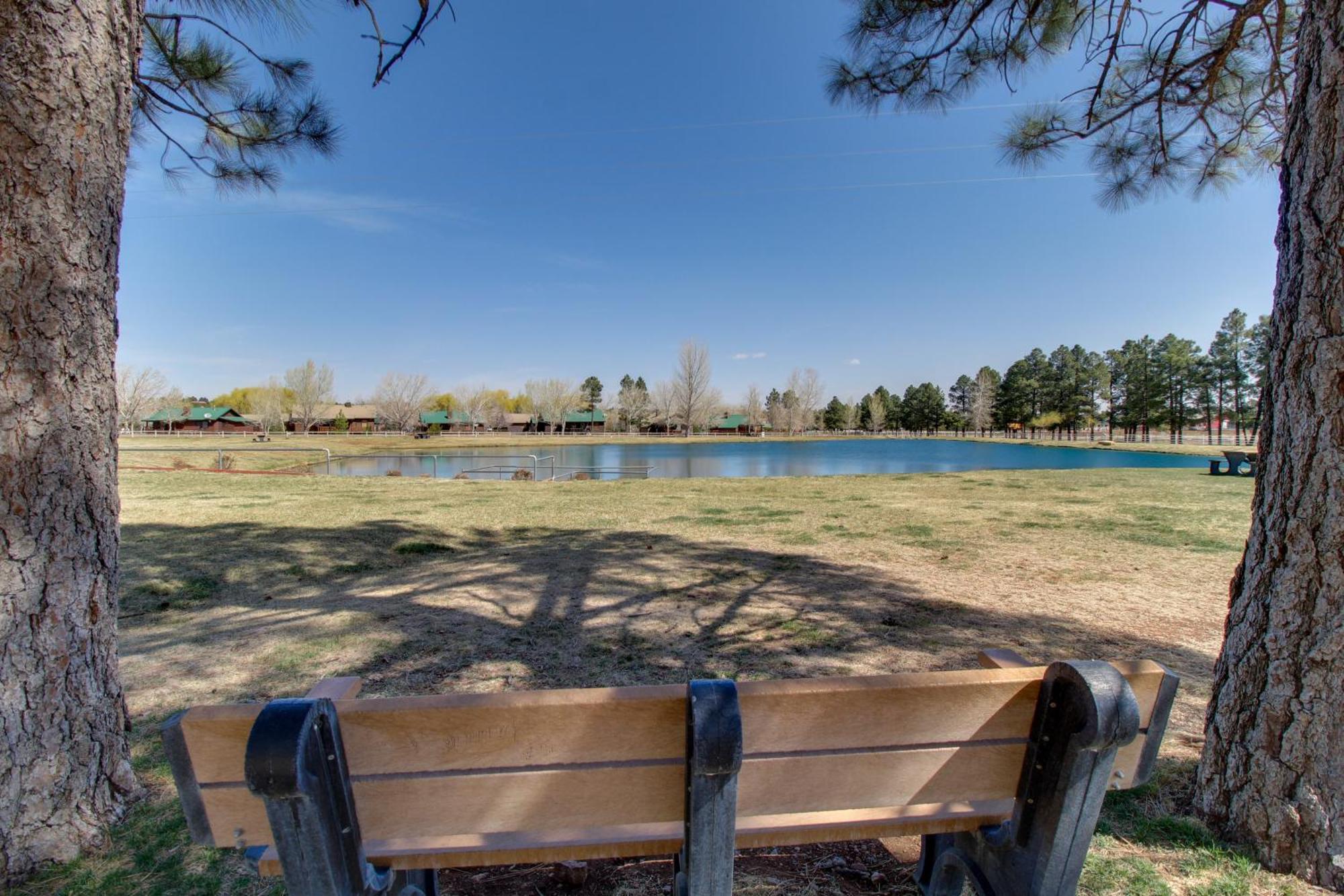 Overgaard Cabin Near Sitgreaves National Forest! エクステリア 写真